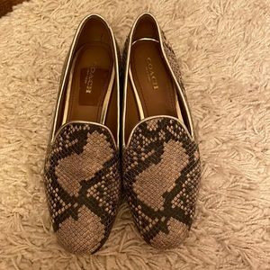 coach snake skin loafers